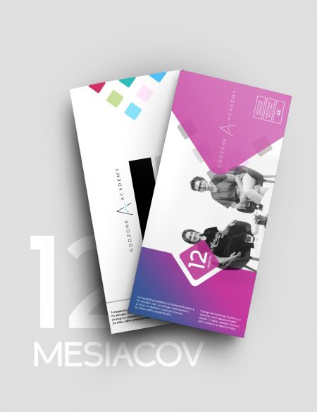 12 MESIACOV